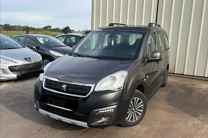 PEUGEOT PARTNER TEPEE